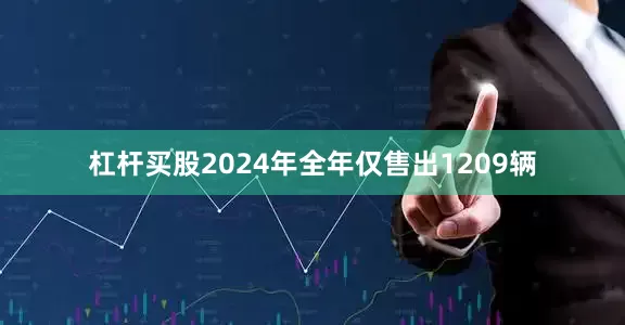 杠杆买股2024年全年仅售出1209辆