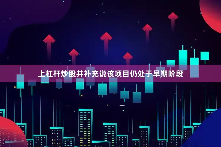 上杠杆炒股并补充说该项目仍处于早期阶段