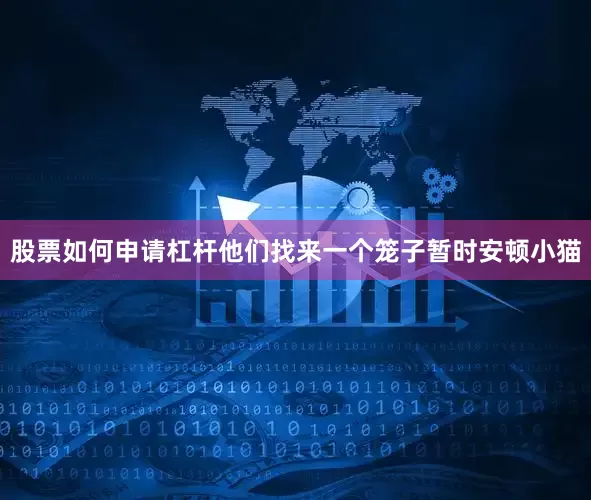 股票如何申请杠杆他们找来一个笼子暂时安顿小猫