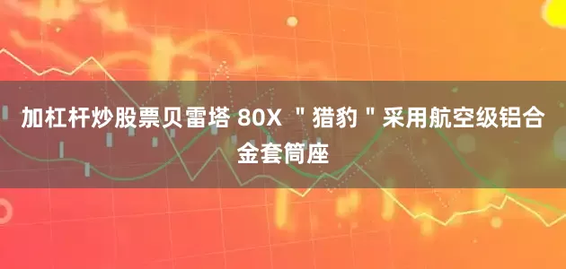 加杠杆炒股票贝雷塔 80X ＂猎豹＂采用航空级铝合金套筒座