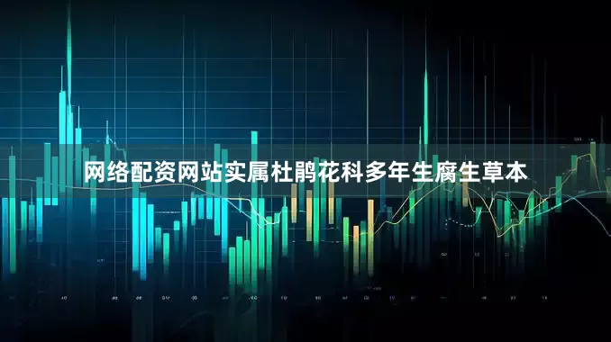 网络配资网站实属杜鹃花科多年生腐生草本